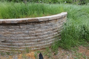 curved_retaining_wall (4).JPG